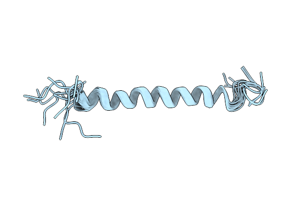 2N7I image