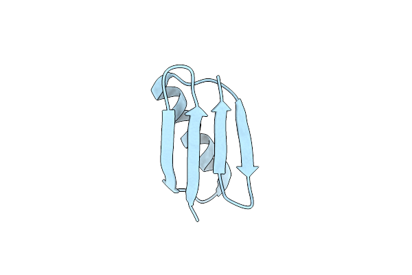 2N7J image