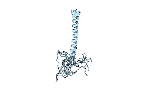 2N7R image