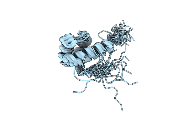 2N8G image