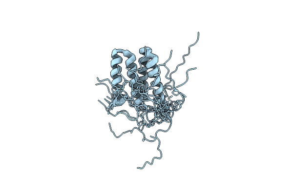 2N8I image