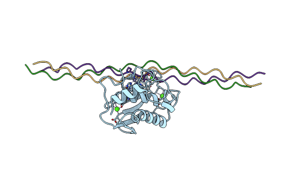 2N8R image
