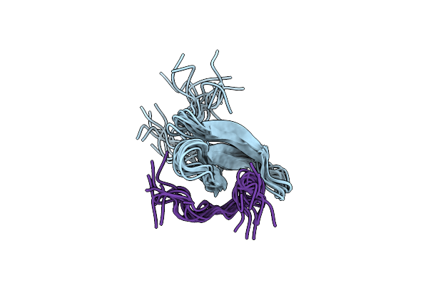 2N8T image