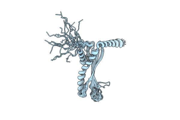 2N8X image