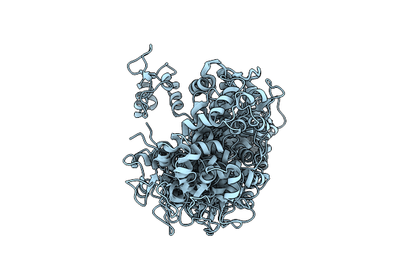 2N8Z image