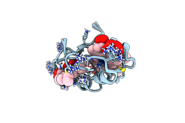 2N91 image
