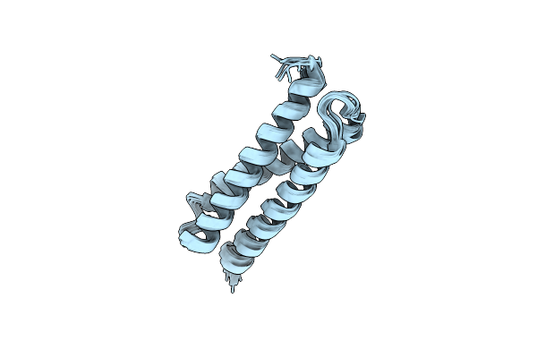 2N9D image