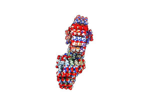 2NAO image
