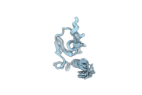 2NAS image
