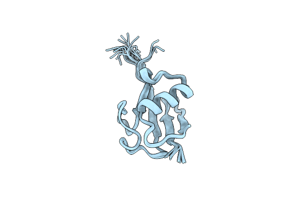 2NBD image