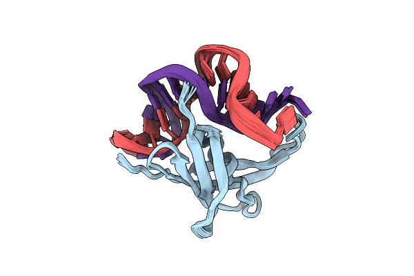 2NBJ image