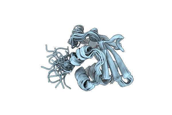 2NBM image
