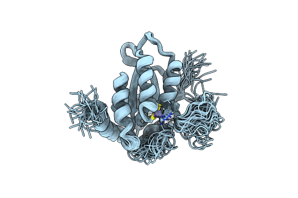 2NBQ image