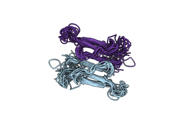 2NBT image