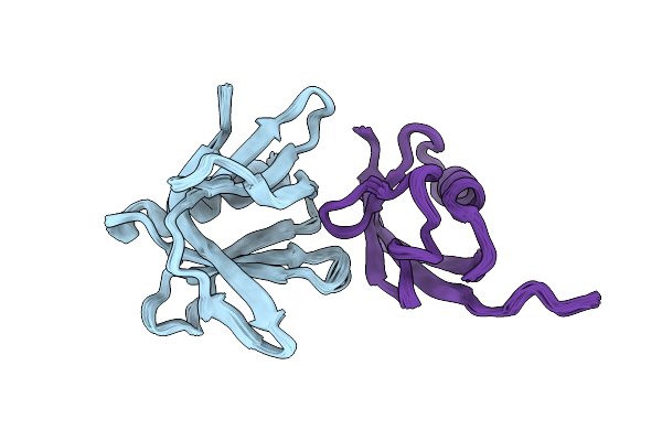 2NBV image