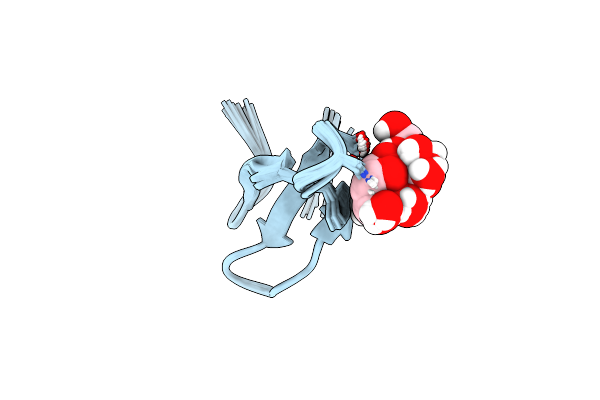 2NC6 image