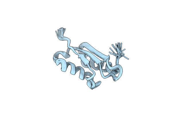 2NCL image