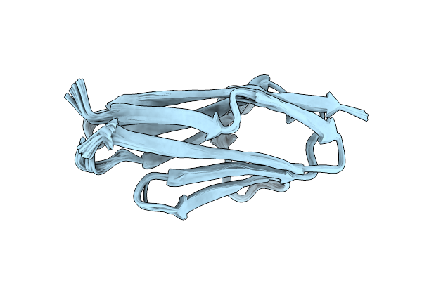 2NCM image