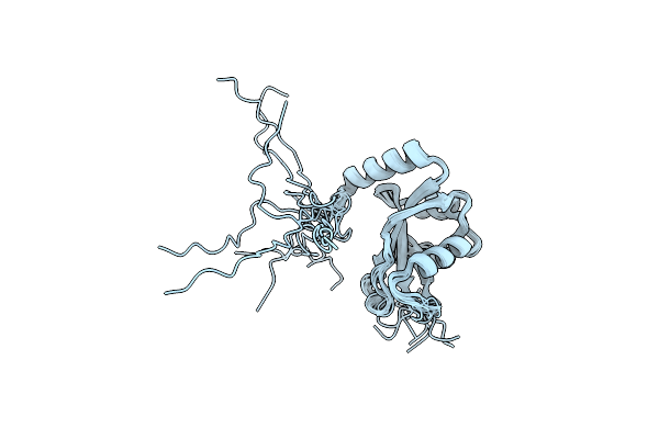 2NCN image
