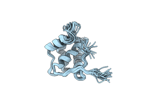 2NCO image