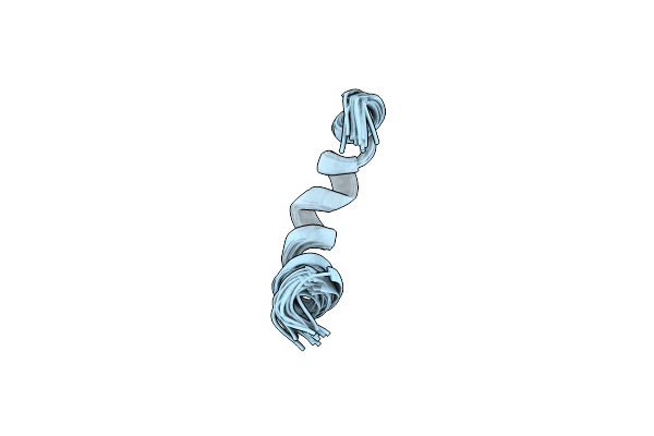 2NCW image