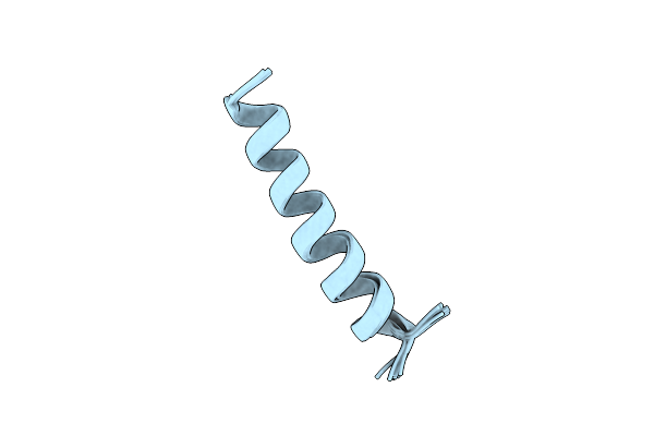2NCX image