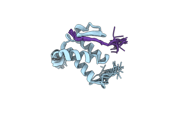 2NCZ image