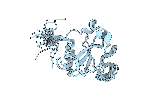 2NDA image