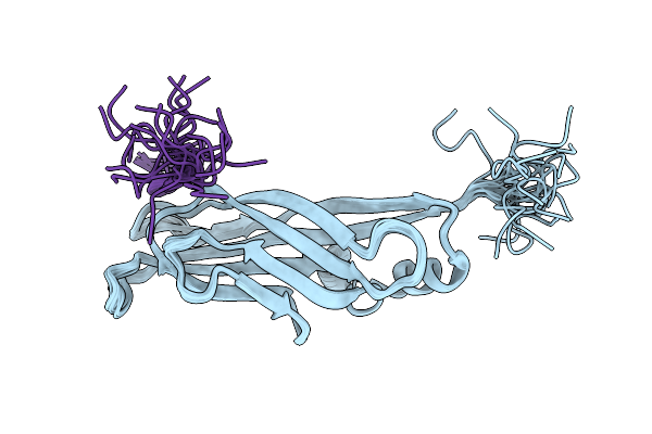 2NDF image
