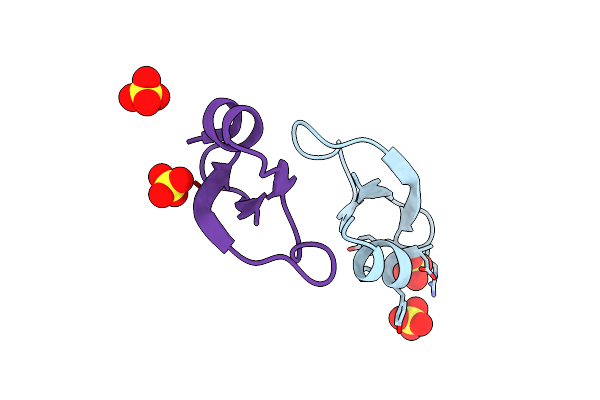 2NLF image