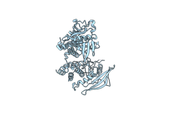 2NLK image