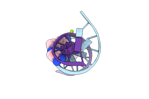 2NLM image