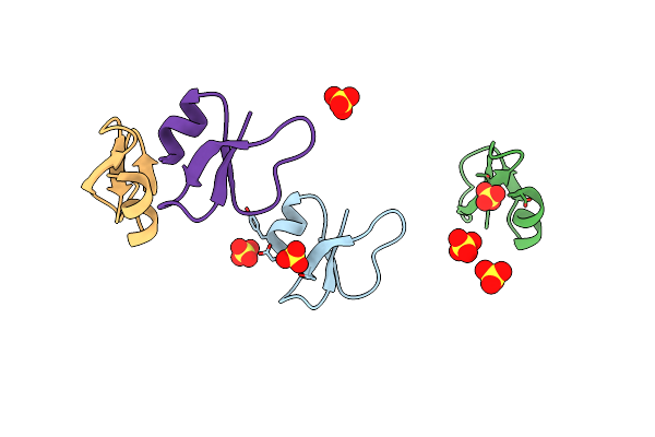 2NLP image