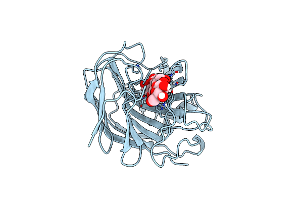 2NLR image