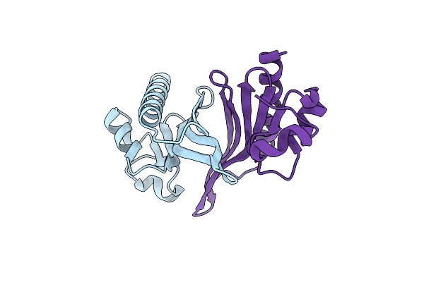 2NLV image