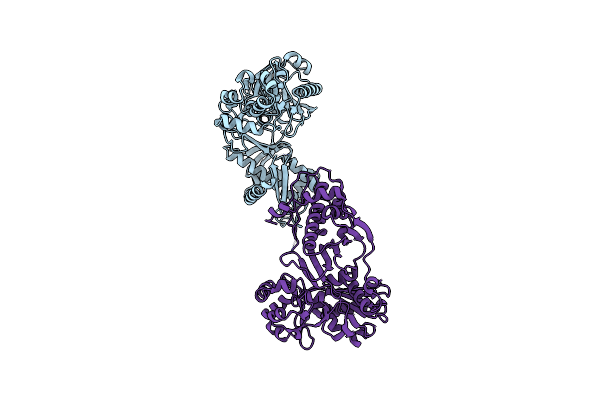2NLX image