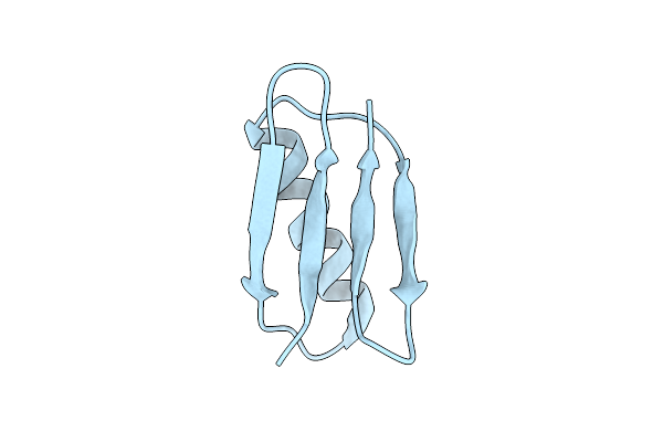 2NMQ image