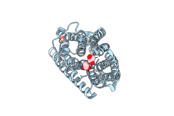 2NMR image