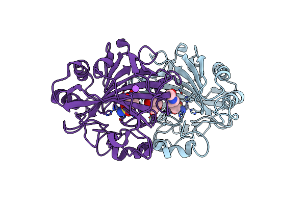 2NMX image