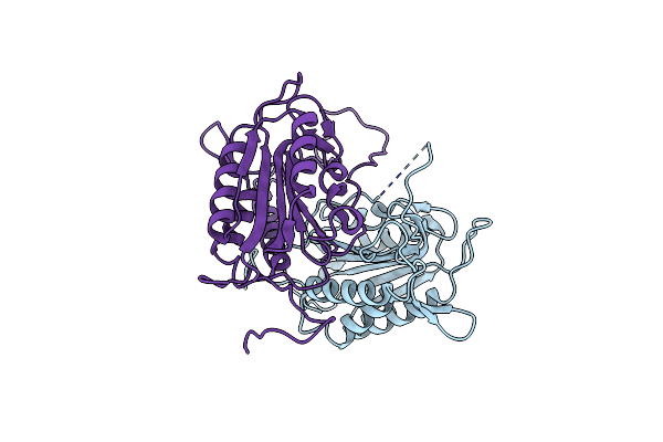2NN3 image