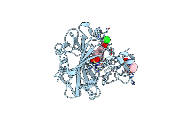2NNS image