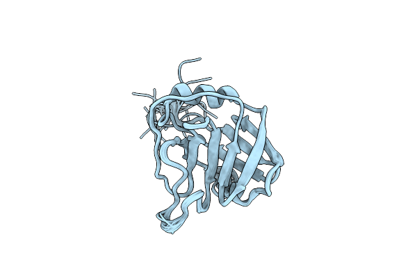 2NNZ image