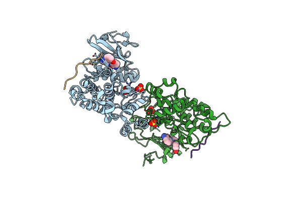 2NO3 image