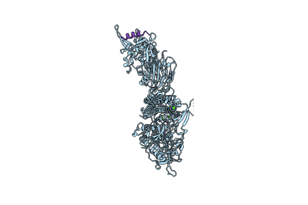 2NP0 image