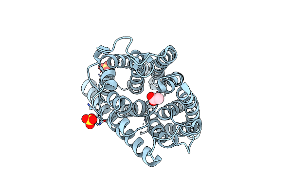 2NPE image