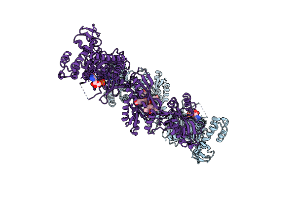 2NPF image