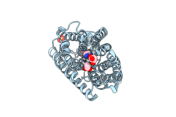 2NPK image