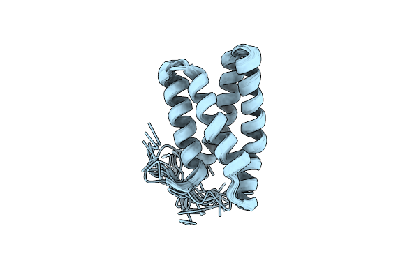 2NPU image