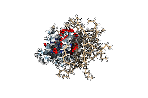 2NPV image