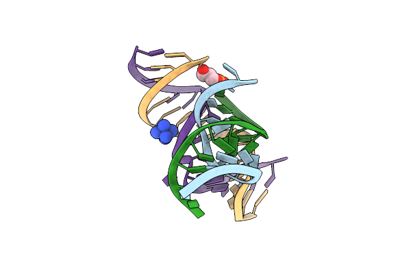 2NPZ image